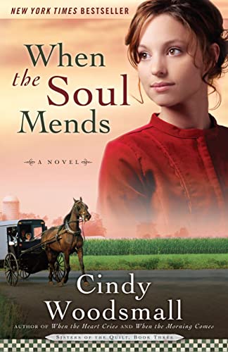 When the Soul Mends book cover