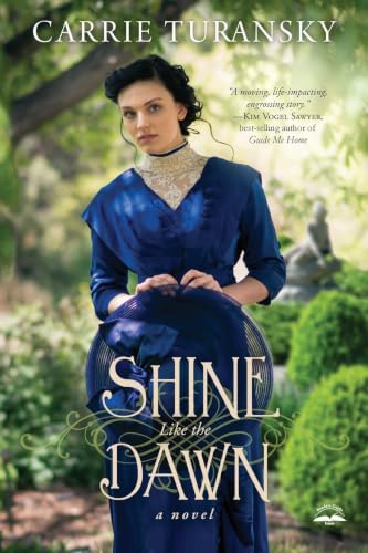 Shine Like the Dawn book cover
