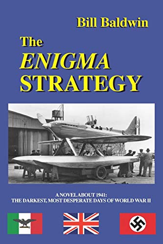 The Enigma Strategy book cover