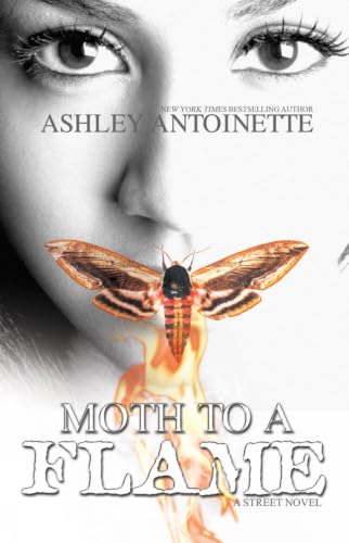Moth to a Flame book cover