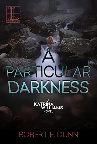 A Particular Darkness cover