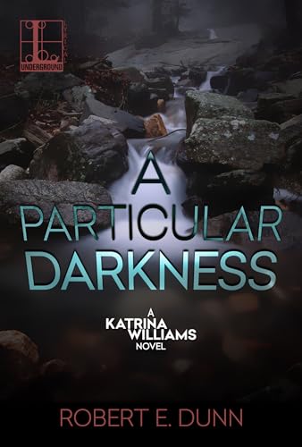 A Particular Darkness book cover