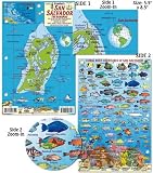 San Salvador Island Bahamas Dive Map Reef Creatures Guide Franko Maps Laminated Fish Card