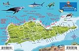 St Croix Usvi Dive Map Fish Id Virgin Islands Franko Maps Waterproof Fish Card