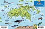 St John Usvi Dive Map Fish Id Virgin Islands Franko Maps Waterproof Fish Card