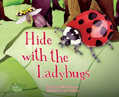 Cover of Hide with the ladybugs