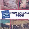 Pigs (21st Century Junior Library: Farm Animals)