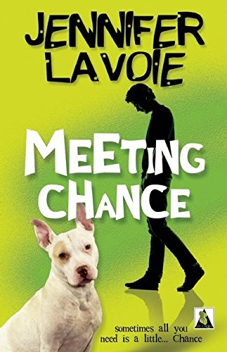 Cover of Meeting Chance