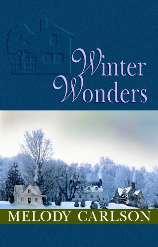 Winter Wonders book cover