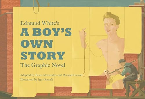 Edmund White's A Boy's Own Story: The Graphic Novel book cover
