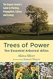 Trees Of Power Ten Essential Arboreal Allies