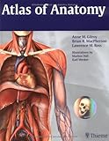 Atlas Of Anatomy Thieme Anatomy