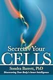 Secrets Of Your Cells Awakening The Bodys Inner Intelligence