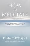How to Meditate: A Practical Guide to Making Friends With Your Mind