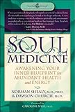 Soul Medicine Awakening Your Inner Blueprint For Abundant Health And Energy