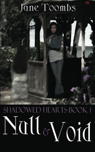 Null and Void book cover