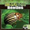 Beetles (Checkerboard Science Library: Bugs!)