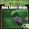 Box Elder Bugs (Checkerboard Science Library: Bugs!)