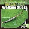 Walking Sticks (Checkerboard Science Library: Bugs!)