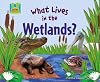 What Lives in the Wetlands? (Super Sandcastle: Animal Habitats)
