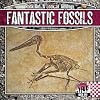Fantastic Fossils (Checkerboard Science Library: Rock On!)