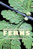 A Natural History Of Ferns