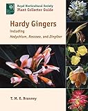 Hardy Gingers Including Hedychium Roscoea And Zingiber