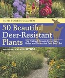 50 Beautiful Deerresistant Plants The Prettiest Annuals Perennials Bulbs And Shrubs That Deer Dont Eat