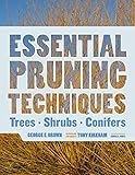Essential Pruning Techniques Trees Shrubs And Conifers