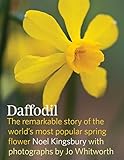 Daffodil The Remarkable Story Of The Worlds Most Popular Spring Flower