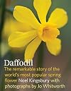 Daffodil: The remarkable story of the world's most popular spring flower