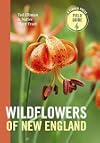Wildflowers of New England (A Timber Press Field Guide)