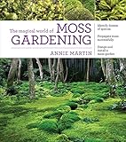 The Magical World Of Moss Gardening
