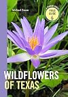 Wildflowers of Texas