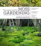 The Magical World Of Moss Gardening