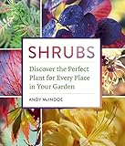 Shrubs Discover The Perfect Plant For Every Place In Your Garden
