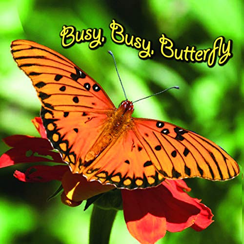 Cover of Busy, busy, butterfly