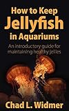 How To Keep Jellyfish In Aquariums An Introductory Guide For Maintaining Healthy Jellies