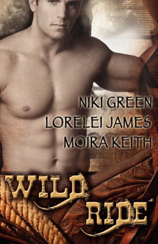 Wild Ride book cover
