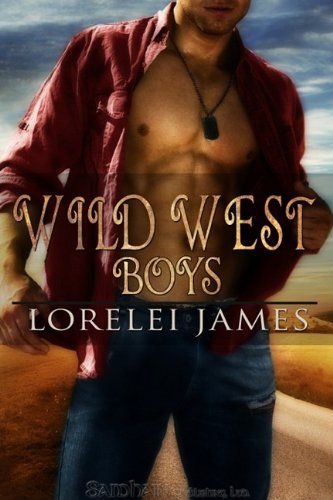 Wild West Boys book cover