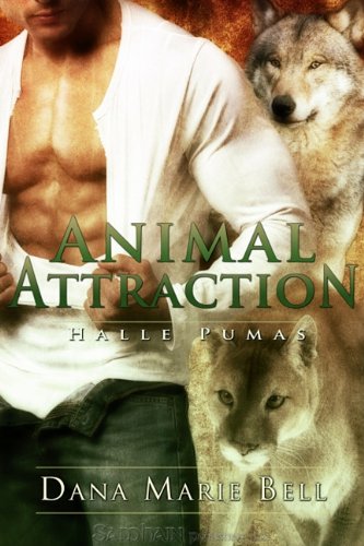 Animal Attraction cover