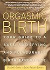 Orgasmic Birth: Your Guide to a Safe, Satisfying, and Pleasurable Birth Experience
