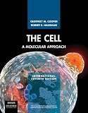 The Cell