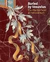 Buried by Vesuvius: The Villa dei Papiri at Herculaneum