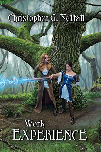 Work Experience book cover
