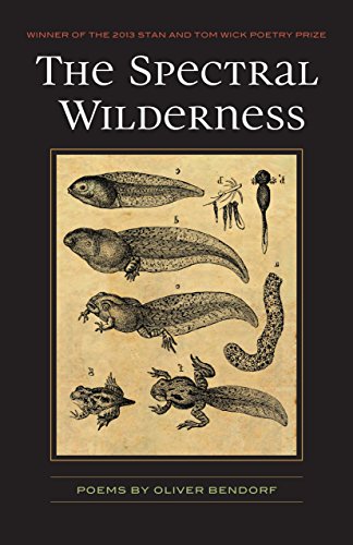 The Spectral Wilderness (By: Oliver Baez Bendorf) cover