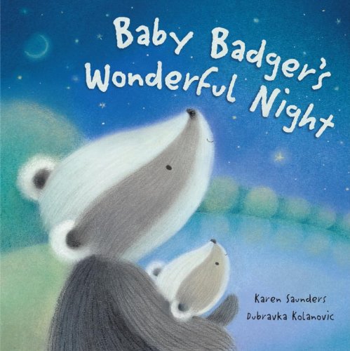 Cover of Baby Badger's Wonderful Night