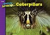 Caterpillars, I Used to be Afraid Of Series