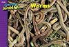 Worms, I Used To Be Afraid Of Series