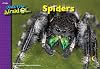Spiders, I Used To Be Afraid Of Series